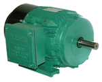 Brook Crompton Severe Duty Motor Image